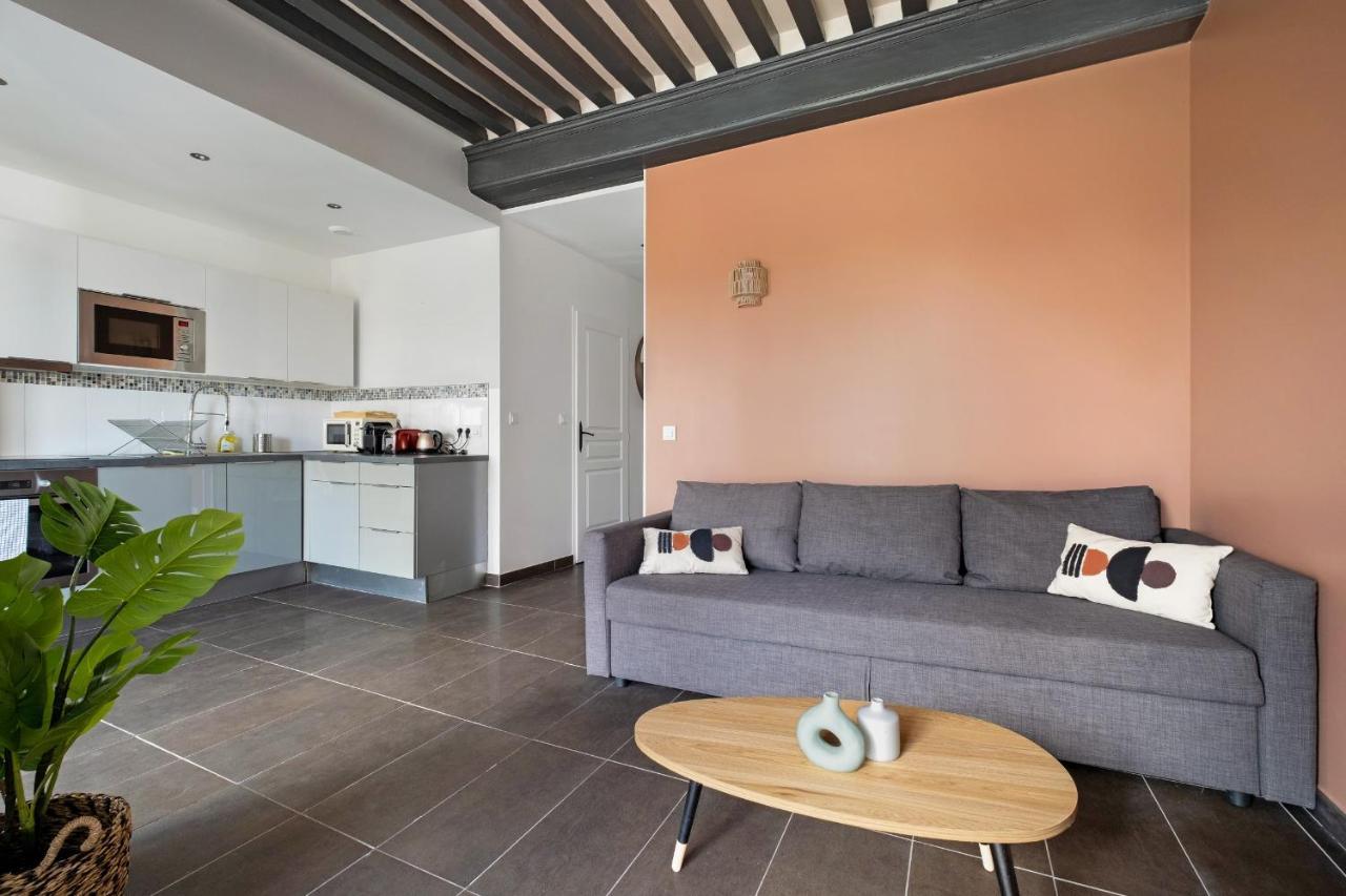 Lyon Cite- Appartement Vue Rhone Terrasse-Caluire Ngoại thất bức ảnh