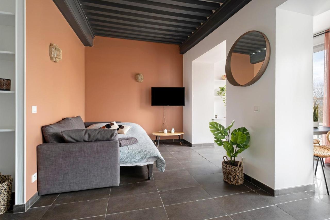 Lyon Cite- Appartement Vue Rhone Terrasse-Caluire Ngoại thất bức ảnh
